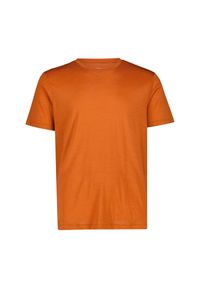 Koszulka merino męska CMP Neil T-Shirt. Kolor: wielokolorowy, żółty, pomarańczowy. Sport: turystyka piesza #1