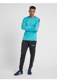 Hummel koszulka męska z długim rękawem hml Authentic Poly Jersey. Kolor: wielokolorowy, fioletowy, niebieski, zielony. Materiał: jersey. Długość rękawa: długi rękaw. Długość: długie