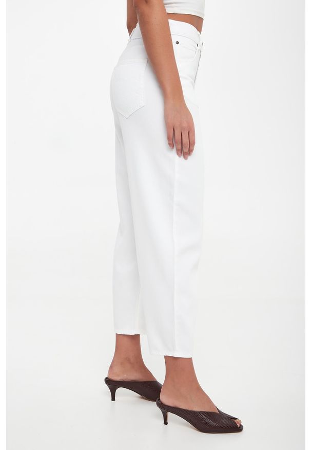 Pinko - Jeansy damskie Estelle PINKO