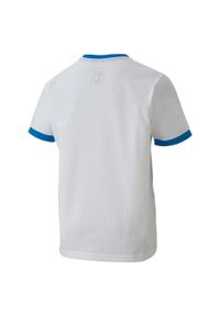Koszulka dla dzieci Puma teamGOAL 23 Jersey. Kolor: biały, wielokolorowy, niebieski. Materiał: poliester