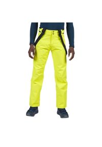 Spodnie narciarskie Rossignol Ski Pant zielone. Kolor: zielony. Sport: narciarstwo