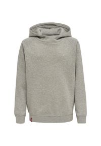Bluza z kapturem dla dzieci Hummel Red Classic. Typ kołnierza: kaptur. Kolor: szary. Materiał: jersey. Sport: joga i pilates