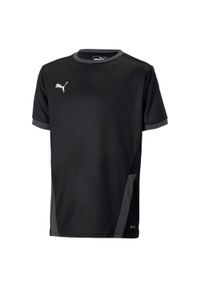 Koszulka dla dzieci Puma teamGOAL 23 Jersey. Kolor: czarny. Materiał: poliester. Sport: piłka nożna #1