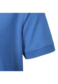 Koszulka Polo - Męska - Pako Jeans - Niebieska, Dekolt Bez Guzików. Okazja: na co dzień. Typ kołnierza: polo. Kolor: niebieski. Materiał: bawełna. Styl: casual #3