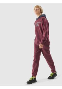 4F JUNIOR - Spodnie dresowe joggery chłopięce. Okazja: na co dzień. Kolor: czerwony. Materiał: dresówka. Wzór: gładki. Styl: casual, klasyczny