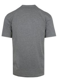 T-Shirt z Dekoltem na Guziki - Brave Soul - Szary. Okazja: na co dzień. Kolor: szary. Materiał: bawełna, wiskoza. Sezon: wiosna, lato. Styl: casual #2