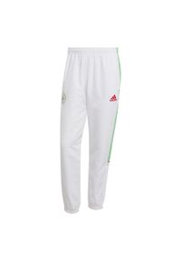 Adidas - Spodnie dresowe Algeria UBP. Kolor: biały. Materiał: dresówka. Sport: piłka nożna