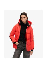 Superdry - Parka z kapturem ocieplana na miasto.. Typ kołnierza: kaptur. Kolor: czerwony. Długość rękawa: długi rękaw. Styl: elegancki #1
