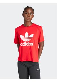 Adidas - adidas T-Shirt adicolor Trefoil IM6930 Czerwony Boxy Fit. Kolor: czerwony. Materiał: bawełna
