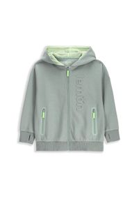 Lemon Explore - Bluza sportowa dziecięca Lemon Exlopre WL5 rozpinana. Typ kołnierza: kaptur. Kolor: zielony. Materiał: bawełna, poliester. Wzór: aplikacja