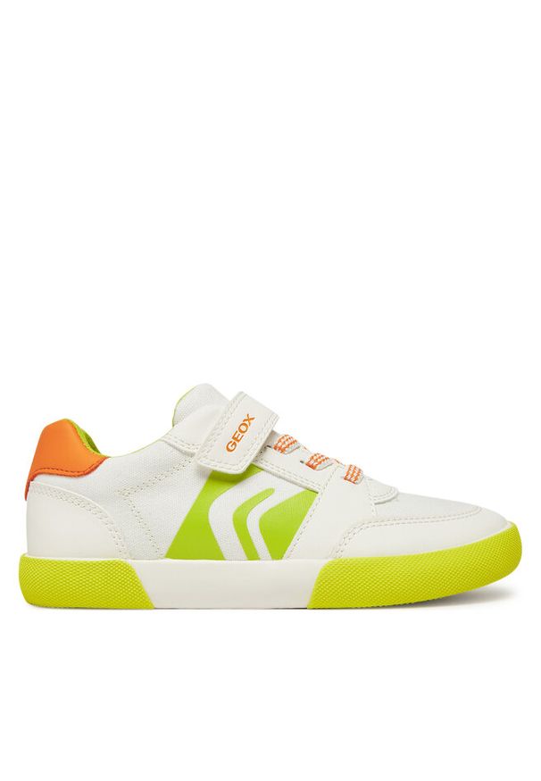 Sneakersy Geox. Kolor: biały