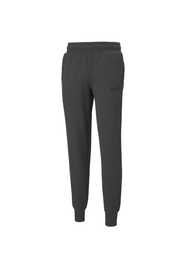 Spodnie męskie Puma Essentials Logo. Kolor: szary. Materiał: bawełna, materiał. Sport: fitness