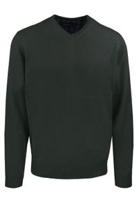 Męski, Bawełniany Sweter w Serek (V-neck) - Adriano Guinari - Ciemna Zieleń. Okazja: do pracy, na co dzień, na spotkanie biznesowe. Typ kołnierza: dekolt w serek. Materiał: bawełna. Styl: klasyczny, casual, elegancki, biznesowy #1