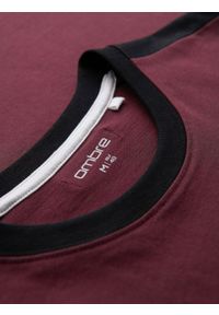 Ombre Clothing - T-shirt męski z kontrastowymi lampasami – bordowy V2 - Rozmiar: L. Okazja: na co dzień. Kolor: czerwony. Materiał: materiał, jersey, poliester, bawełna. Wzór: melanż, aplikacja. Styl: klasyczny, sportowy, casual #7
