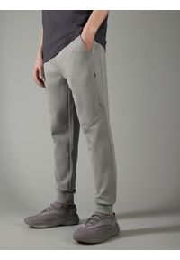 4f - Spodnie dresowe joggery z bawełną organiczną męskie 4F x Robert Lewandowski. Kolor: szary. Materiał: bawełna, dresówka. Wzór: nadruk, aplikacja