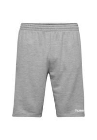 Spodenki sportowe dla dzieci Hummel Go Kids Cotton Bermuda Shorts. Kolor: szary. Styl: sportowy #1