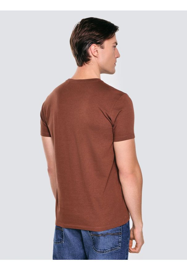 Big-Star - Koszulka męska o klasycznym kroju brązowa Bruno 804. Kolor: brązowy. Materiał: bawełna. Długość rękawa: krótki rękaw. Długość: krótkie. Wzór: nadruk, haft. Styl: klasyczny