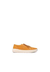 Buty męskie Timberland Seneca Bay Canvas Ox. Kolor: brązowy