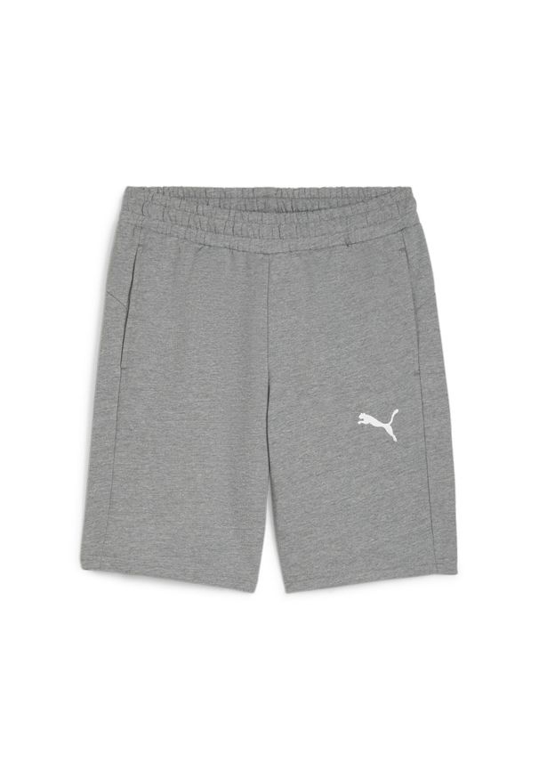 Spodenki sportowe męskie Puma teamGOAL Casuals. Kolor: szary