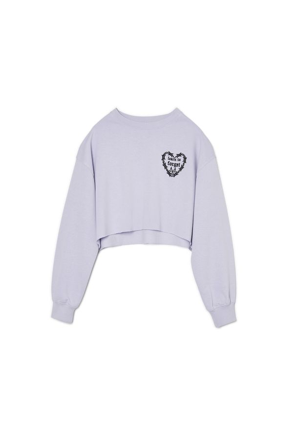 Cropp - Fioletowa bluza z haftem - Fioletowy. Kolor: fioletowy. Materiał: bawełna, dresówka, dzianina. Długość rękawa: długi rękaw. Długość: długie. Wzór: haft