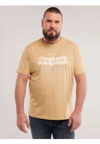 Big-Star - Koszulka męska z nadrukiem beżowa Millaner 805. Kolor: beżowy. Materiał: jeans, bawełna. Wzór: nadruk. Styl: klasyczny #6
