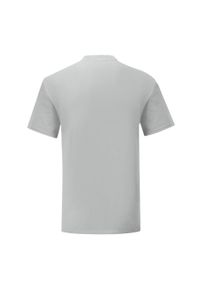 FRUIT OF THE LOOM - Kultowa Koszulka Unisex Dla Dorosłych. Kolor: szary