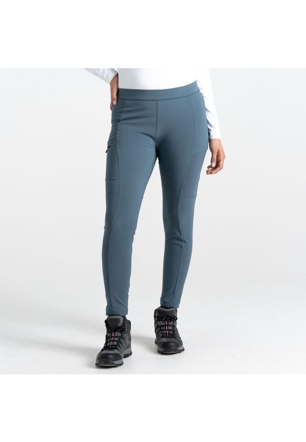 DARE 2B - Damskie legginsy Dare 2B Melodic II. Kolor: szary. Sport: turystyka piesza