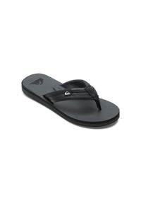 Quiksilver - Sandały dla Mężczyzn CARVER SQUISH. Kolor: szary. Materiał: guma, syntetyk. Sezon: lato