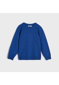 Sinsay - Sweter z haftem - Niebieski. Kolor: niebieski. Wzór: haft #1