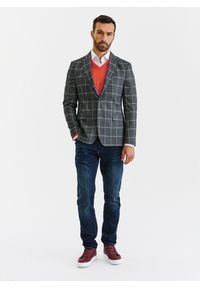 Pako Lorente - PAKO LORENTE – Szara marynarka męska w kratę. Okazja: na co dzień. Kolor: szary. Materiał: elastan, wiskoza, poliester. Styl: casual #8