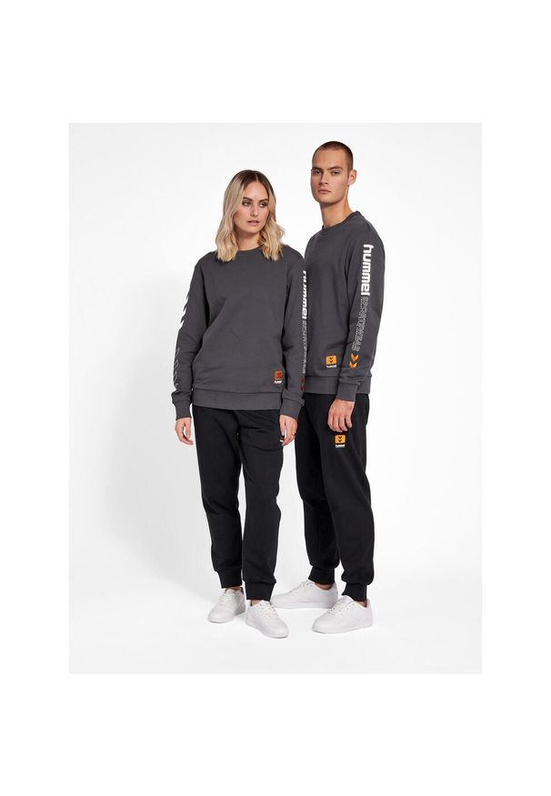 Bluza Hummel hmlLGC Birk. Kolor: szary