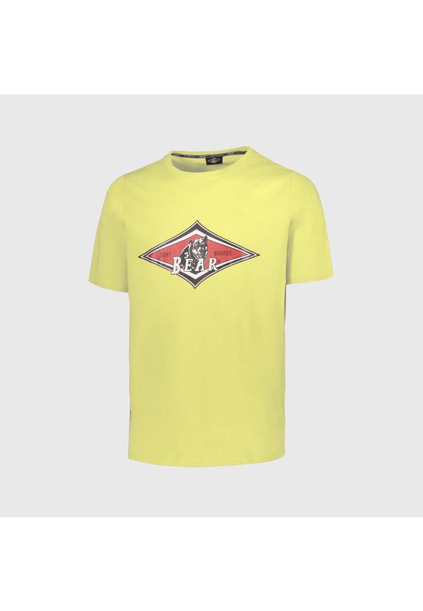 BEAR - Koszulka z misiem i dużym logo w kolorze selera zielonego. Kolor: zielony. Sport: skateboard