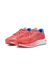 Buty damskie do biegania Puma Velocity Nitro 2. Kolor: czerwony, niebieski, wielokolorowy. Sport: bieganie #1