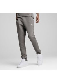 Puma - Męskie spodnie EVOSTRIPE PUMA Cast Iron Gray. Kolor: szary. Materiał: dresówka. Sport: piłka nożna