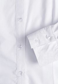 Renee - Biała Klasyczna Koszula Zapinana na Guziki Vikria. Okazja: na co dzień, na randkę. Kolor: biały. Materiał: jeans. Długość rękawa: długi rękaw. Długość: długie. Wzór: aplikacja. Styl: klasyczny #5