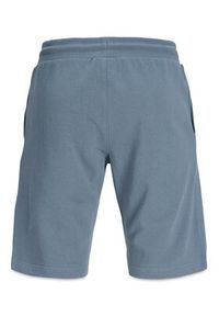 Jack & Jones Szorty sportowe Gordon 12288638 Niebieski Regular Fit. Kolor: niebieski. Materiał: bawełna. Styl: sportowy #4