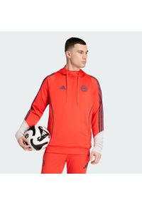 Adidas - Bluza Z Kapturem Fc Bayern 25/26. Kolor: czerwony. Sport: fitness #1