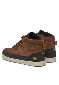 Etnies Sneakersy Dunbar Htw 4101000570 Brązowy. Kolor: brązowy. Materiał: skóra