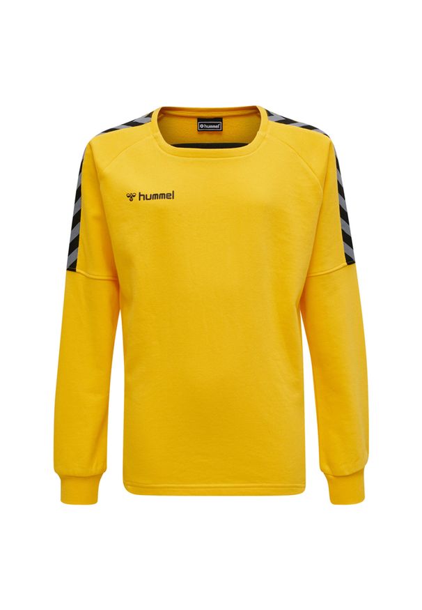 Bluza do piłki ręcznej dla dzieci Hummel hmlAUTHENTIC Training. Kolor: żółty, pomarańczowy, wielokolorowy