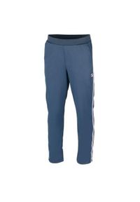 Spodnie treningowe męskie Fila Pant Daniel. Kolor: niebieski. Materiał: materiał, syntetyk