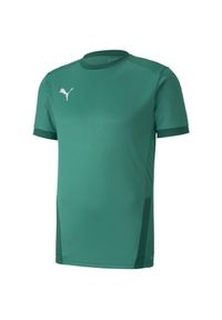 Koszulka do piłki nożnej męska Puma teamGOAL 23 Jersey. Kolor: zielony. Materiał: jersey