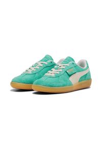 Puma Buty Palermo Vintage 39684105. Kolor: zielony