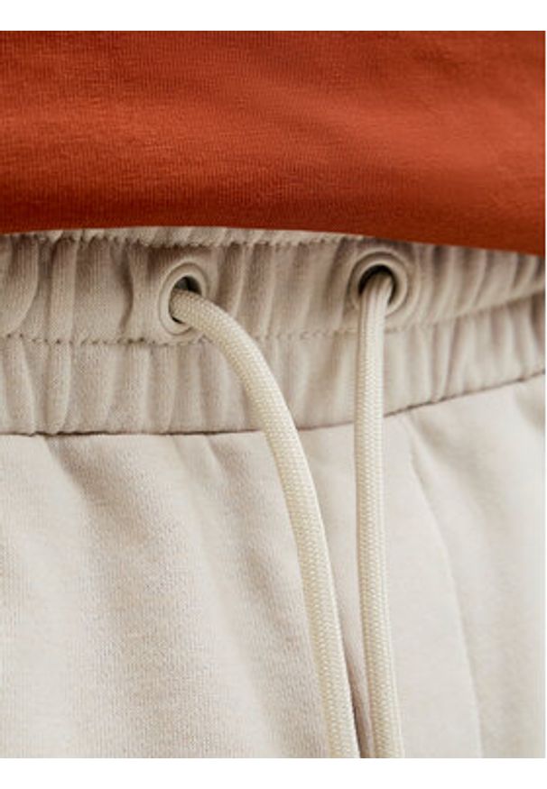 Jack & Jones Szorty sportowe Gordon 12249285 Beżowy Regular Fit. Kolor: beżowy. Materiał: syntetyk, bawełna. Styl: sportowy