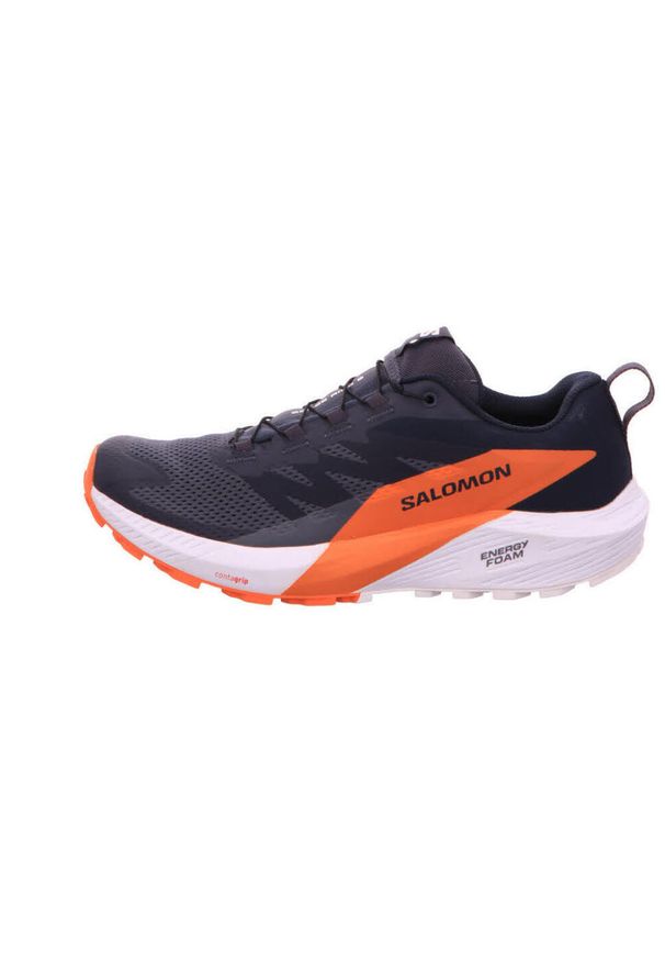 salomon - Buty do biegania męskie Salomon Sense Ride 5 Gtx Gore-tex. Kolor: niebieski. Materiał: materiał, syntetyk. Szerokość cholewki: normalna. Technologia: Gore-Tex. Sport: bieganie