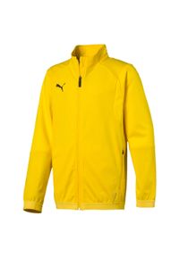Bluza sportowa dla chłopca Puma Liga Training Jacket. Kolor: żółty. Materiał: poliester, dresówka, materiał. Sport: piłka nożna #1