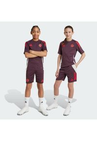 Adidas - Szorty FC Bayern Tiro 24 Training Kids. Kolor: czerwony, fioletowy, wielokolorowy. Materiał: materiał. Sport: piłka nożna