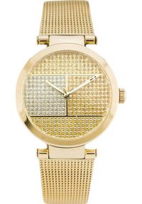 Zegarek Tommy Hilfiger ZEGAREK DAMSKI TOMMY HILFIGER 1781867 LYNN (zf507e) #1