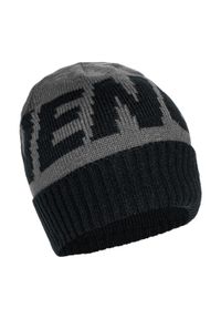 VENUM - Czapka zimowa Venum Elite Beanie. Kolor: szary. Sezon: zima