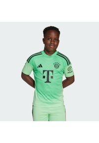 Adidas - Koszulka FC Bayern 25/26 Goalkeeper Kids. Kolor: zielony. Sport: piłka nożna