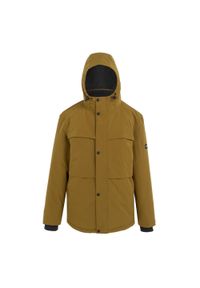 Regatta - Męska Kurtka Ocieplana Ronin II. Kolor: brązowy, niebieski, wielokolorowy. Sport: turystyka piesza #1
